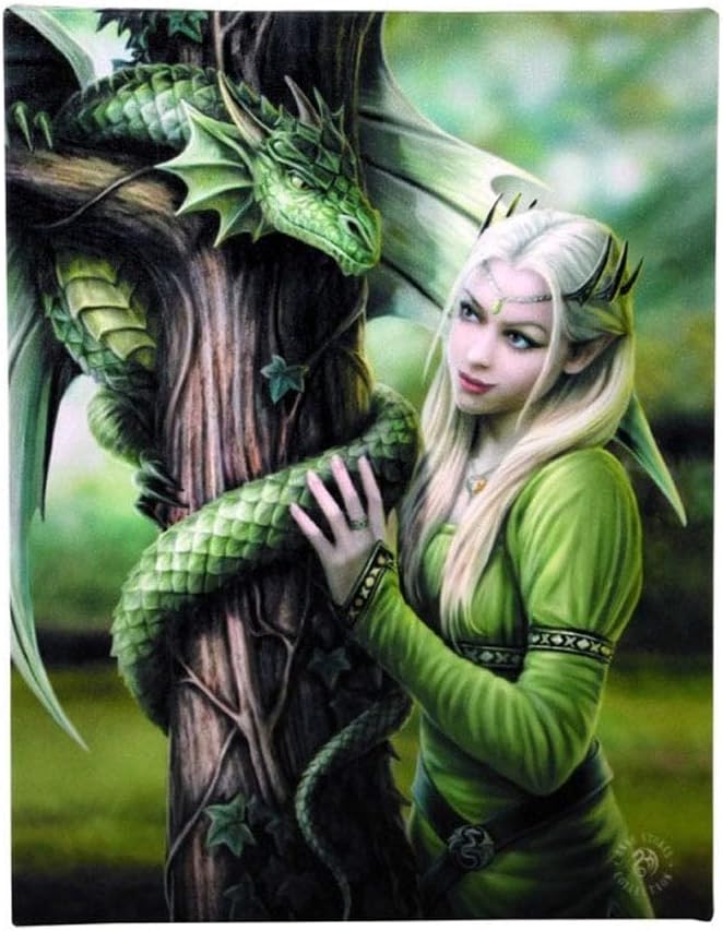 Canvas Plaque | Kindred Spirits by Anne Stokes | H25cm X W19cm X D1.5cm | pack of 1