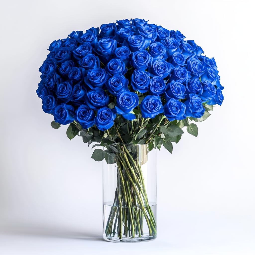 GlobalRose 250 Blue Roses Bouquet - Responsibly Sourced Roses Fresh Flowers - Hand-Picked Flowers Fresh Bouquet for Graduation, Anniversary, Birthday & Special Occasions (10 Bunches of 25 Stems)