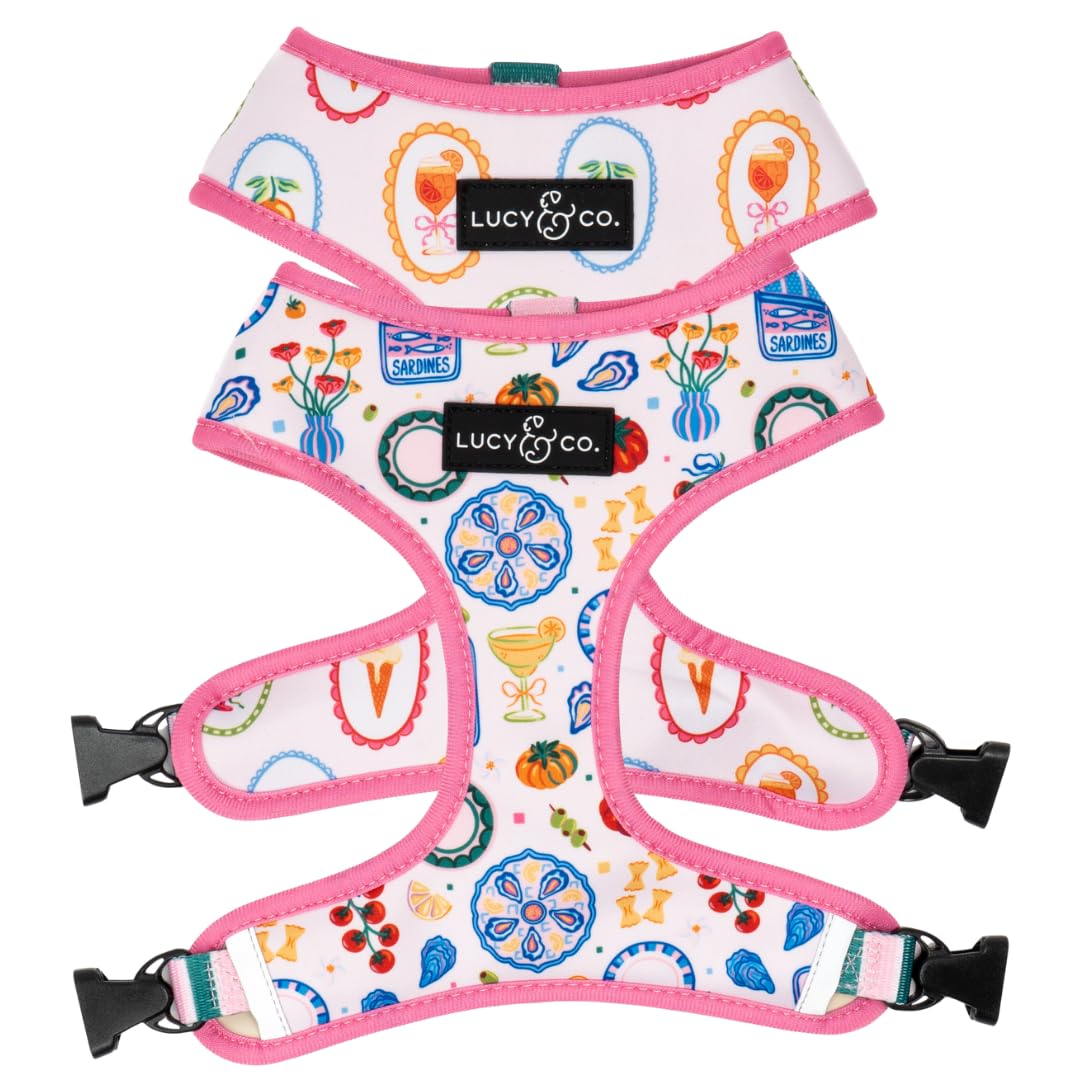 Lucy & Co. Dolce Vita Reversible Dog Harness, Adjustable Comfort Fit with Dual Leash Attachments, Large โ image 1