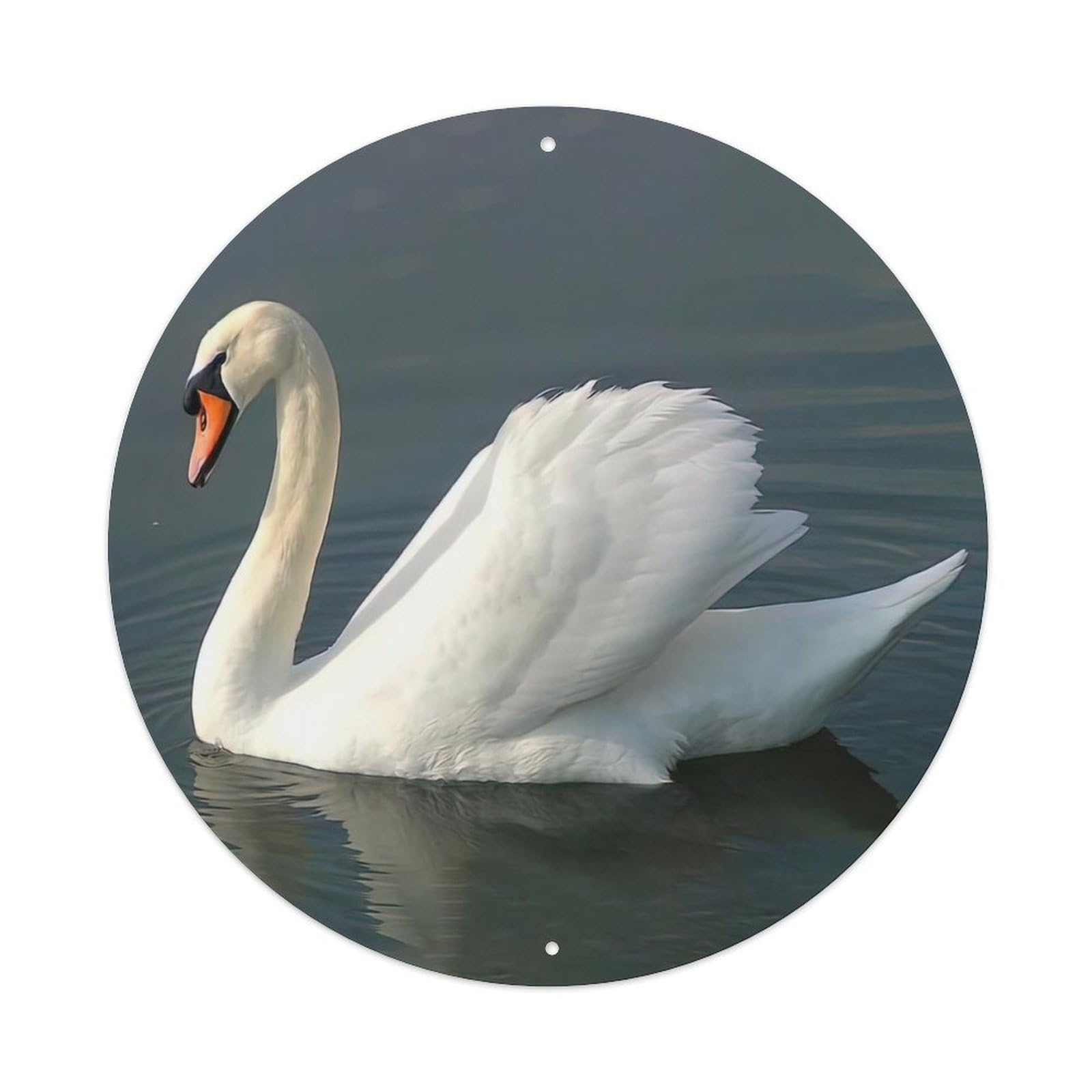 Animal Artwork Swan in The Lake Vintage Metal Tin Sign Plaque Wall Decor for Cafe, Club Bar, Office, Garden Metal Poster 8x8Inch