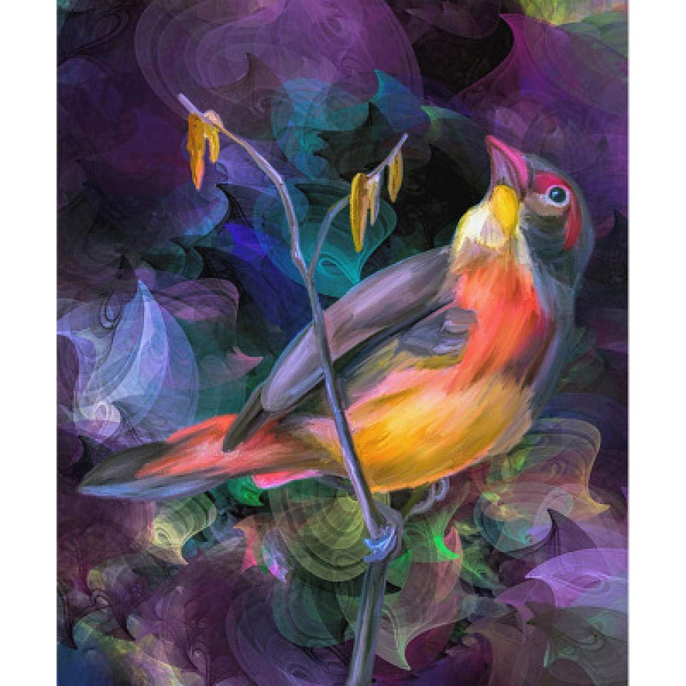 Peinture diamant oiseaux zen loisir créatif broderie 50x60