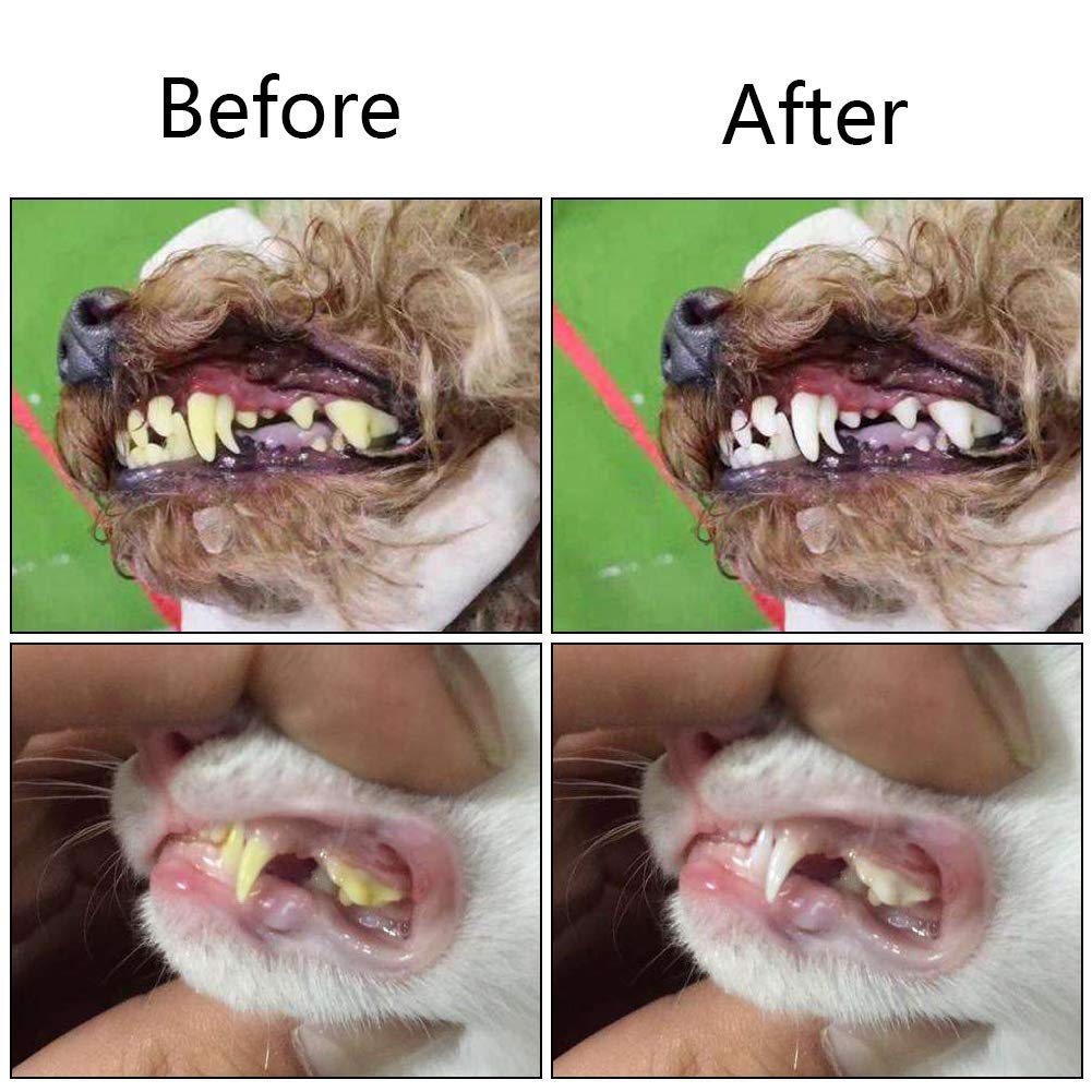 Orgrimmar 2 PCS 3-Sided Pet Toothbrush Dog Toothbrush Removing Bad Breath Tartar Cleaning Mouth Pet Dental Care Cat Cleaning Mouth 3