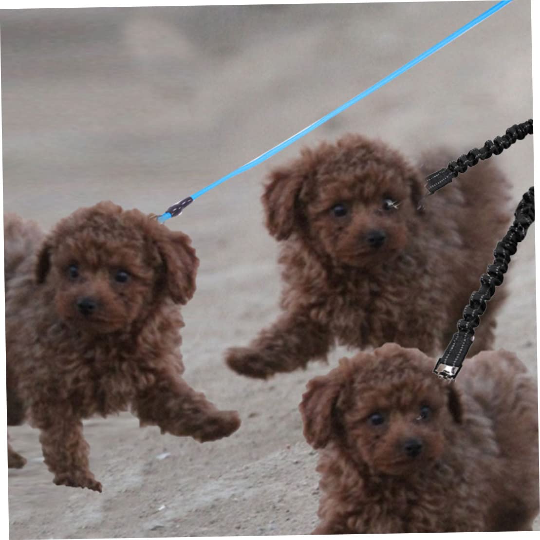 Guinzaglio per Cani Doppio guinzaglio per Animali Domestici Che assorbe Gli Urti guinzaglio Riflettente per 2 Cani per Uso Domestico