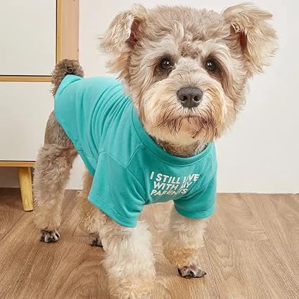Cute Dog Clothes,Dog T Shirt for Medium Dogs.Dog Clothes for Small Dogs Girl Boy,Puppy.Breathable Soft Dog Costume Pet Dogs Cats,Pet Pullover Jumper,Cat Clothes (S-(4~8lb), Chest~14", Aqua)