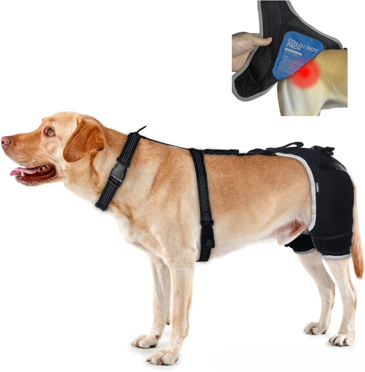Dog Hip Dysplasia Brace with Hot/Cold Gel Pack – Adjustable Hind Leg Support Wrap for Arthritis, Joint Pain Relief & Post Mobility Recovery, Size XL