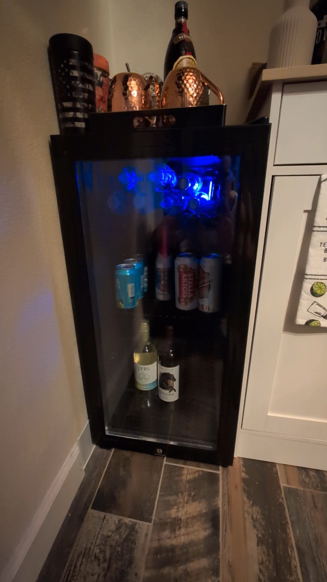 Close-up of temperature control dial and light switch inside the refrigerator
