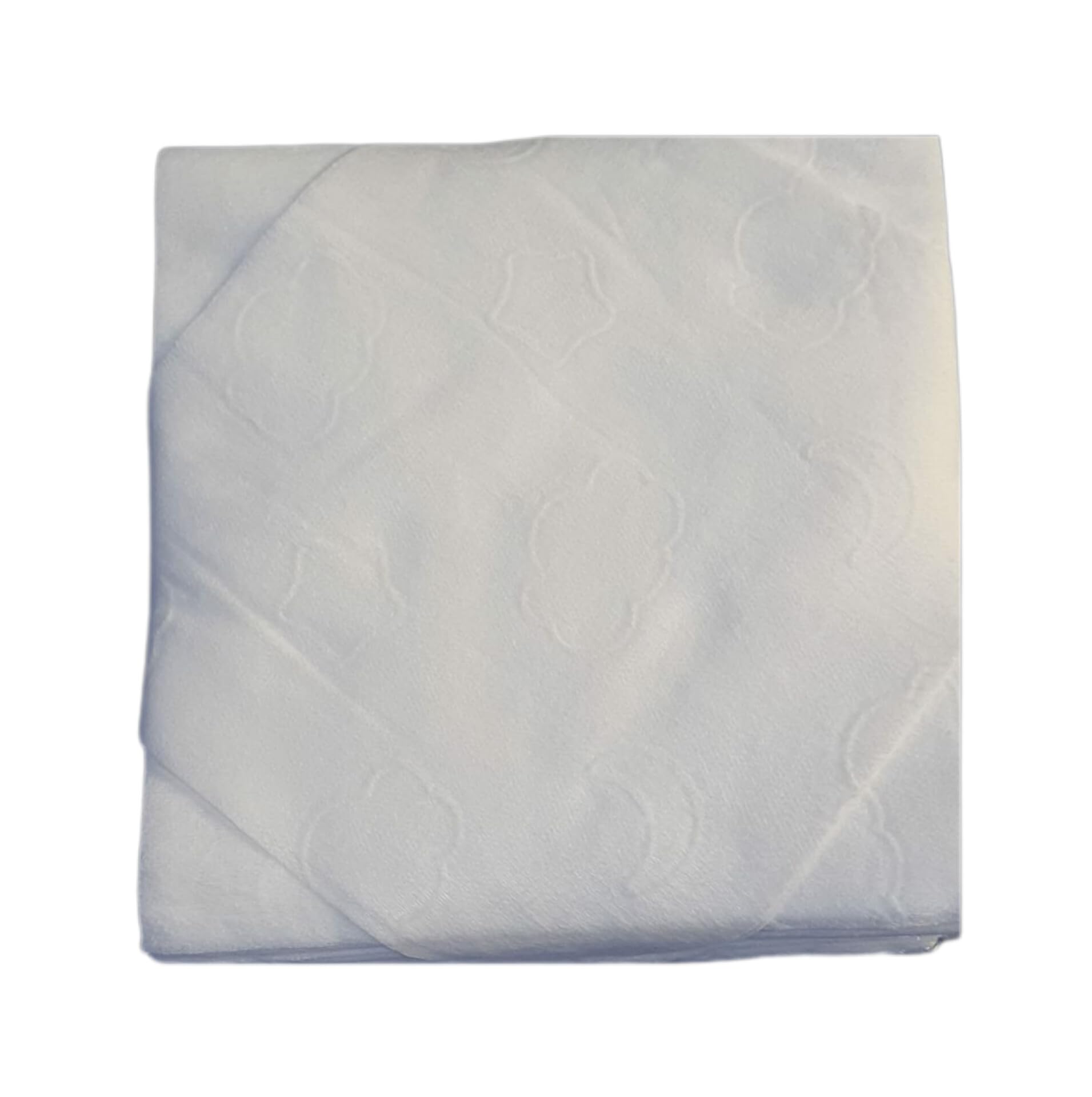 8 x 8 Riyu Collection Premium Non Woven Disposable Face Cleaning Cloths, Beauty Towels, Dry Wipes for Facial Makeup Removal, Salon Parlour Tissues, Multipurpose Napkins | Pack of 300 | Super Soft-picture-52