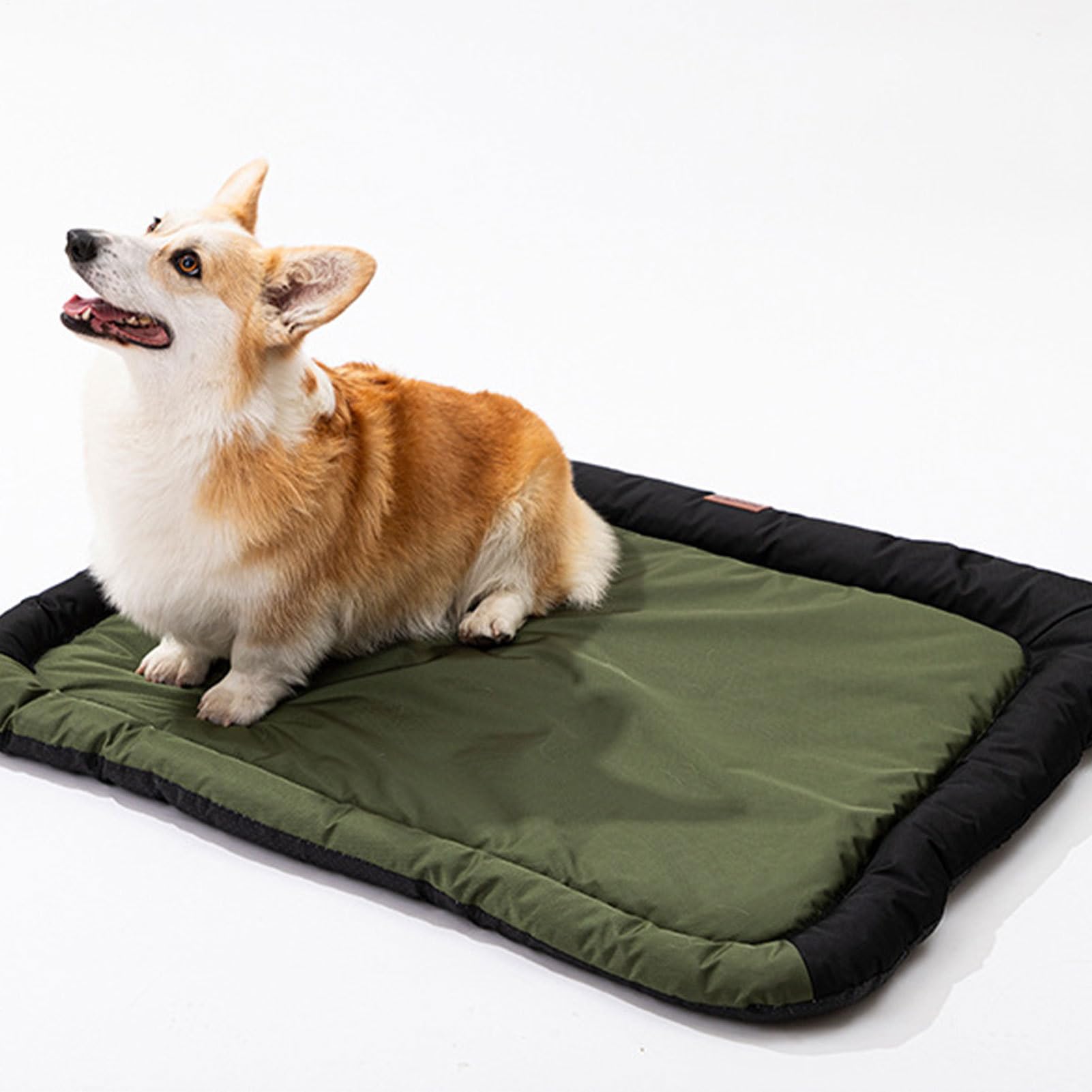 Oxford -Pad, weiche, waschbare Haustierdecke, 55 x 40 x 10 cm, Möbelschutz, Katzenbett für kleine bis große Hunde, die drinnen ruhen, Armgrün, Blau und Grau