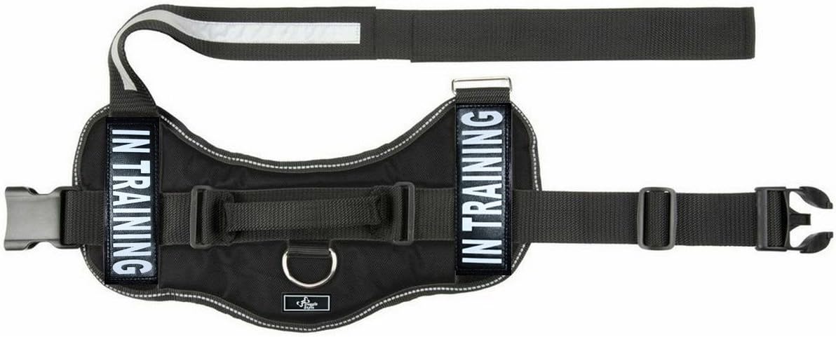 Doggie Stylz in Training Service Dog Harness with Removable Saddle Bag Backpack Pack Carrier Traveling Carrying Bag. 2 Removable in Training Patches. Please Measure Dog Before Ordering. Made