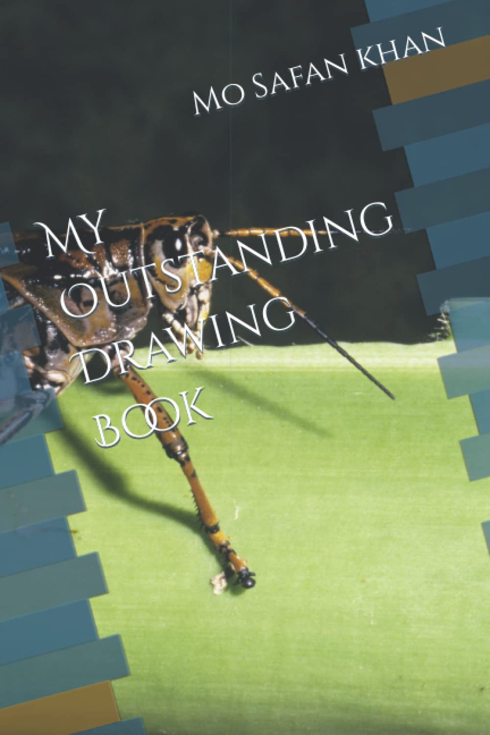 My Outstanding Drawing Book