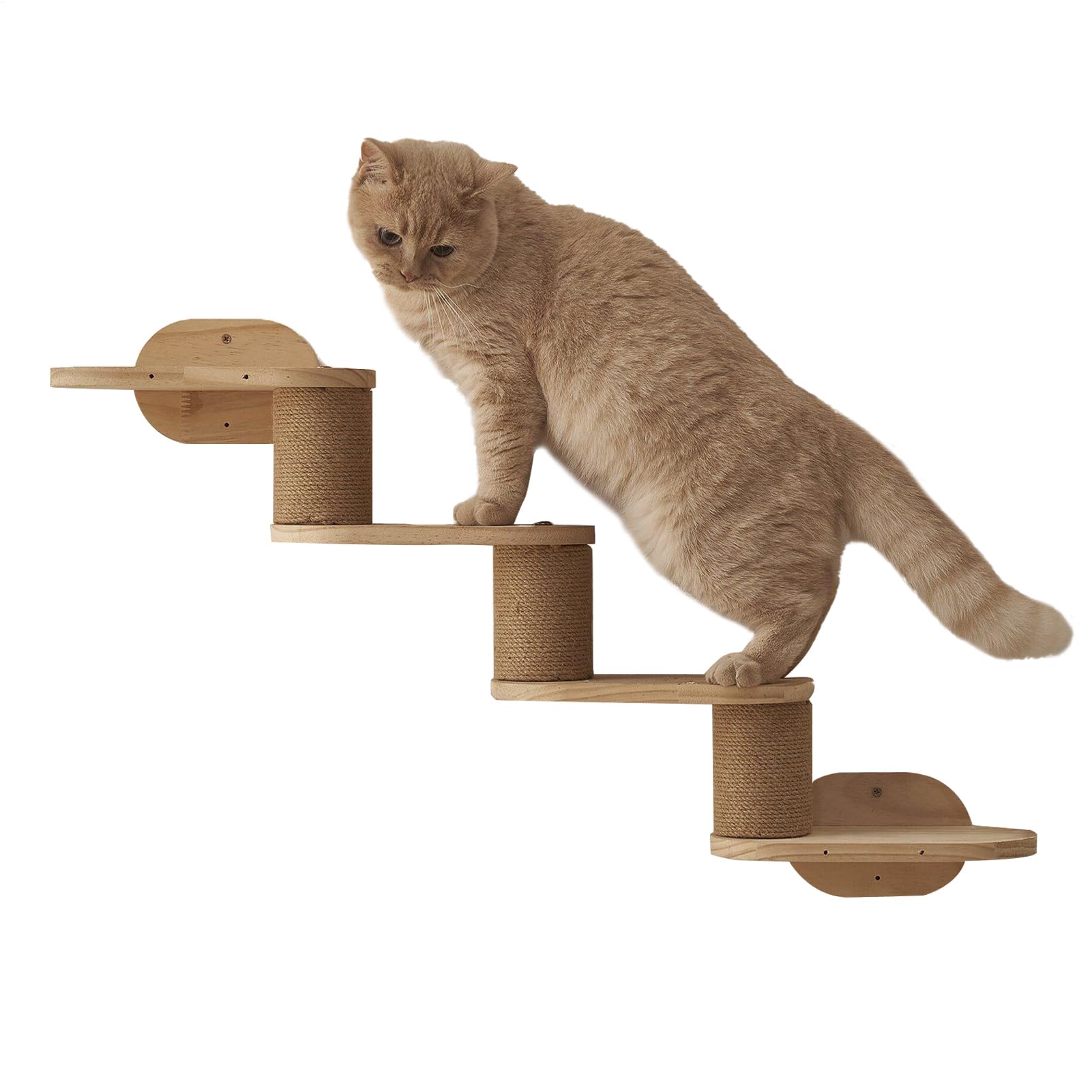 Katzen Kletterwand Katzen Kletterregale