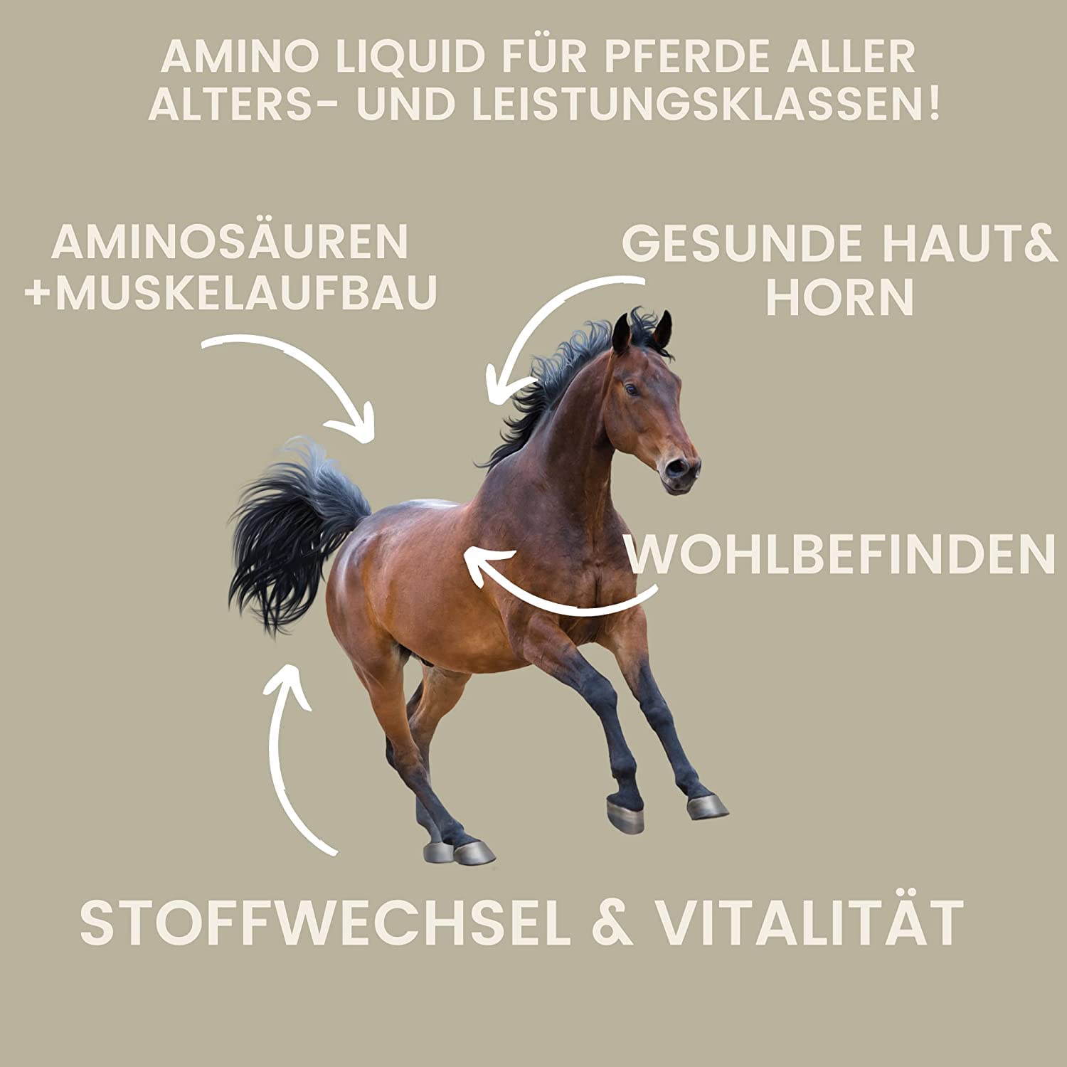 Pasta vitamínica para Caballos Aminoácidos Caballo Amino Vitamina E Levadura de Cerveza Energía Alimento reconstituyente para músculos doloridos Regeneración Rendimiento Muscular Musculación 3 * 30ml