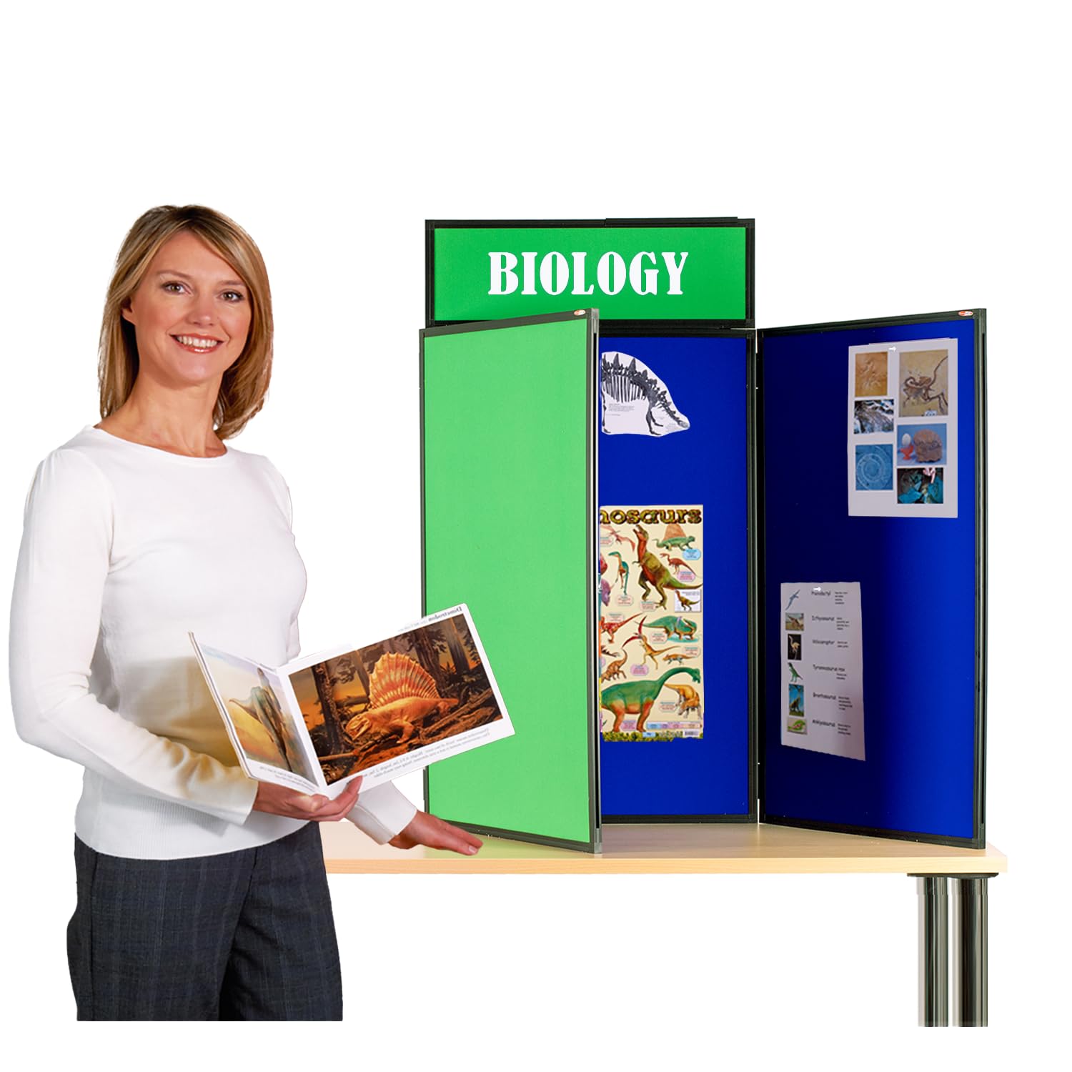 Exhibition Display Panel Kit with a Clip on Header | Double-Sided Quince Green/Royal Blue with Black PVC Frame | (Portrait) -Ideal for Table or Desk top displays | Great for Healthcare & Education