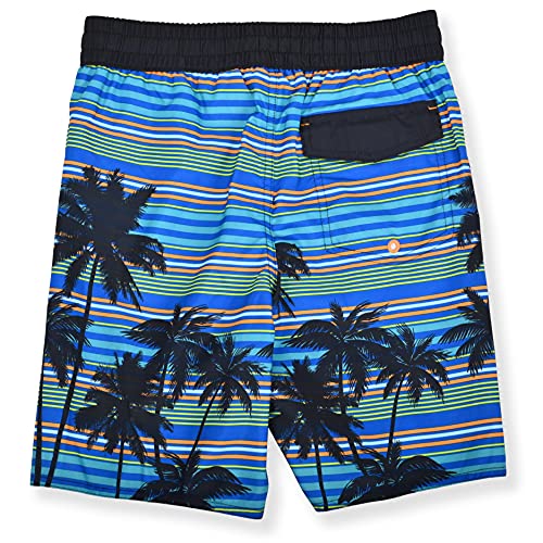 Laguna Boys Party Palm Stripe Swim Trunks, Blue Combo, 10/122