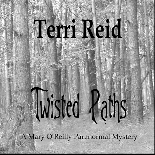 Cover art for Twisted Paths