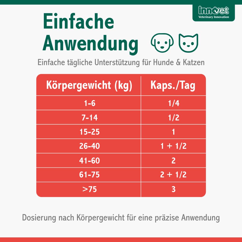 Innovet Alevica PEA-q für Hunde und Katzen, 100 ml Flüssigkeit für das Gleichgewicht des Nervensystems, PEA Hund, Flüssigkeit mit Spritze, Unterstützt neurologische Funktion, Komfort und Wohlbefinden