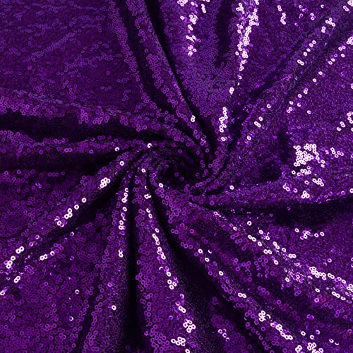 ShiDianYi Purple Sequin Fabric 30 Feet Sequin Fabric by The Yard 10 Yard Glitter Mesh Fabric Purple Material for Sewing Sparkle Fabric for Dress