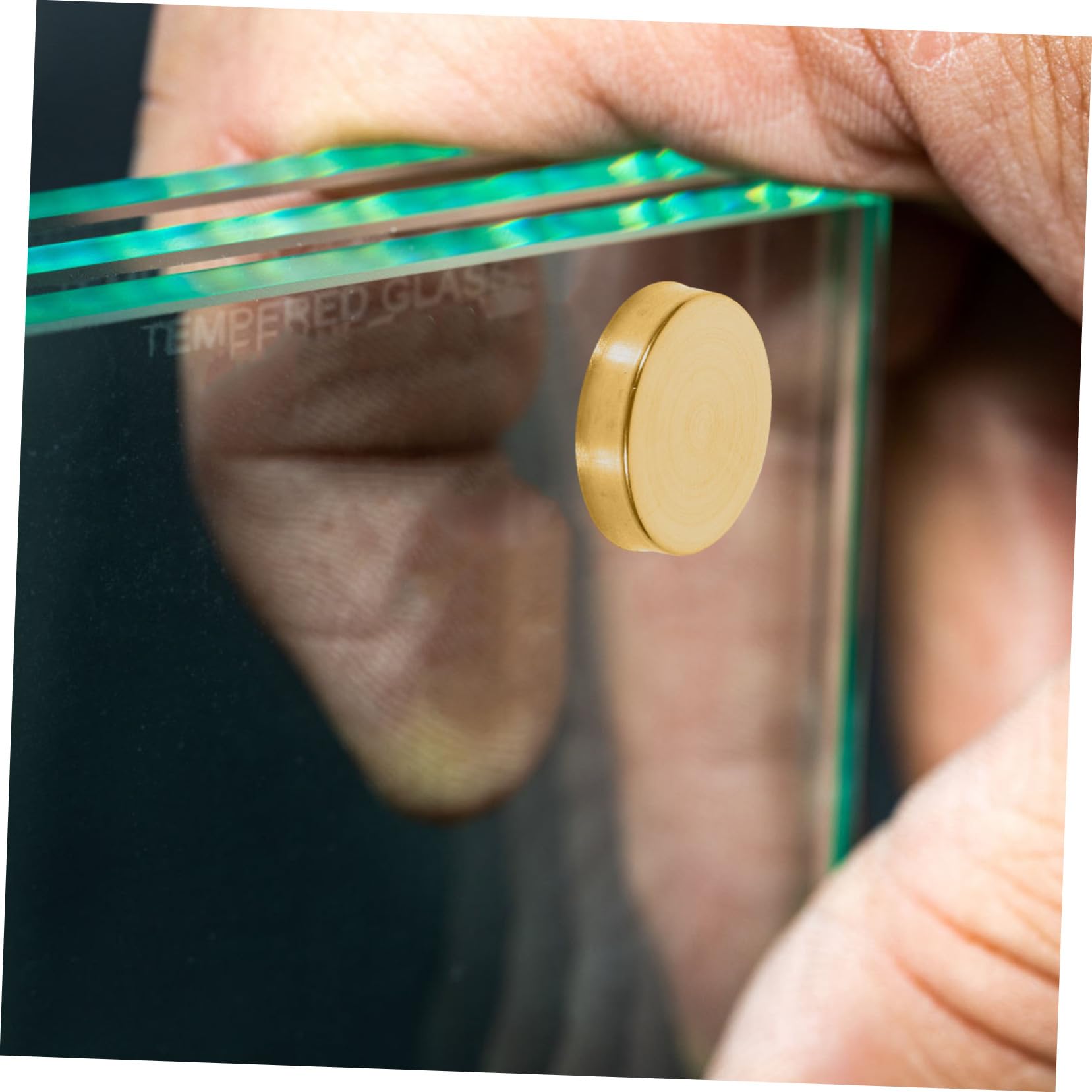 WOONEKY Stainless Steel Mirror Screws Cap Covers 20pcs Versatile Nails for Decorative Mirrors Sign Nails Advertising Hardware