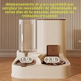Ver la foto 2