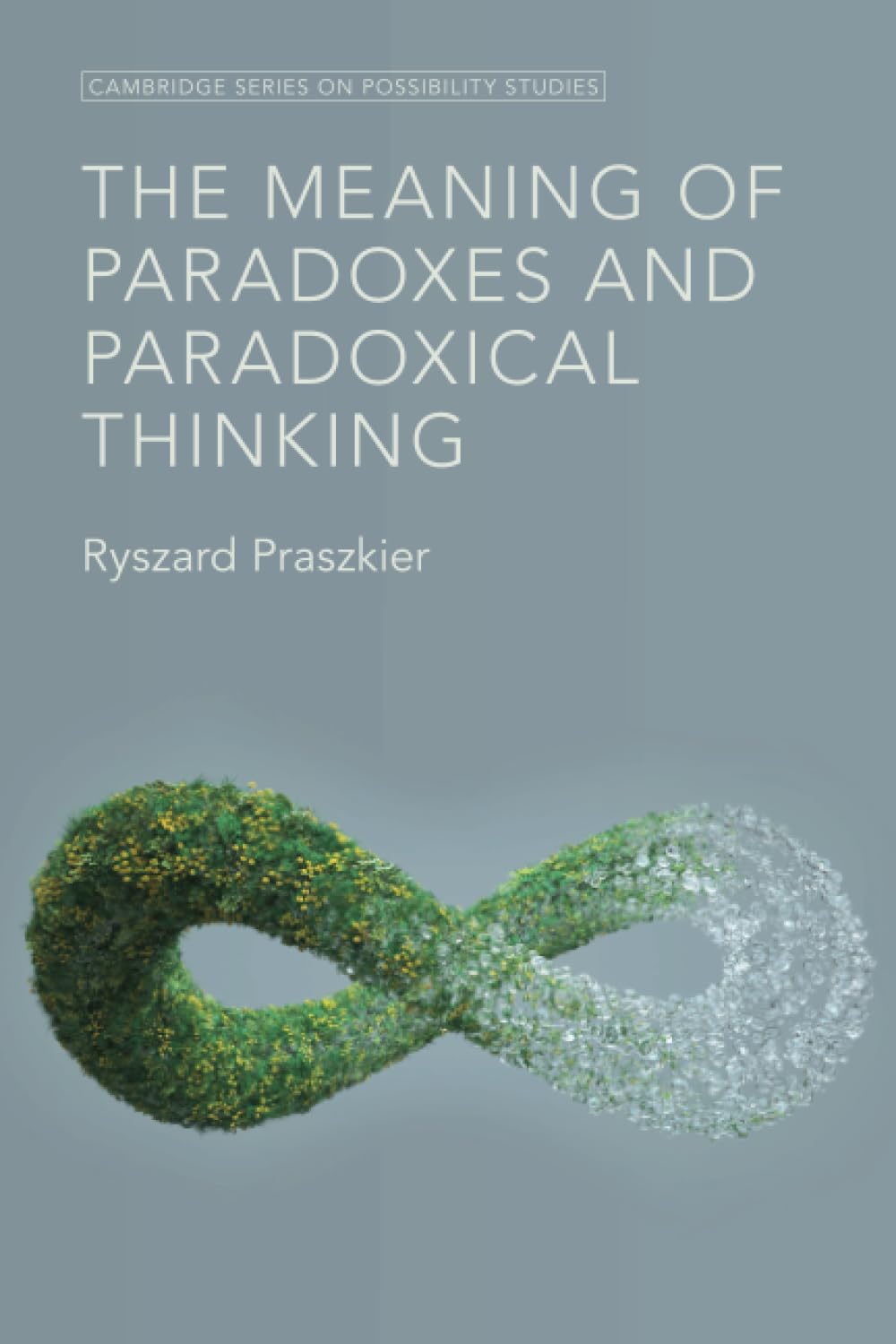Buy The Meaning of Paradoxes and Paradoxical Thinking (Cambridge Series on Possibility Studies) — BookShops.in