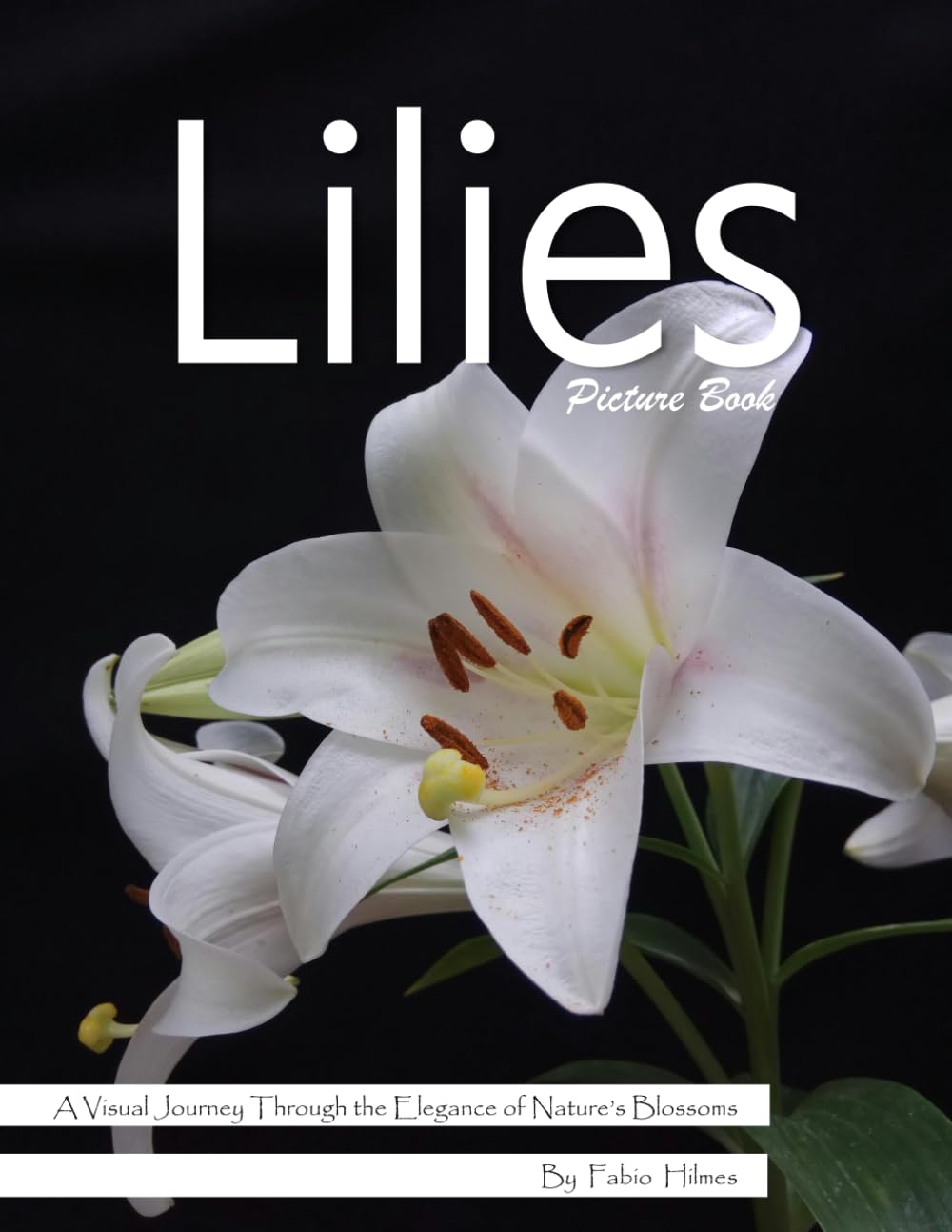 Lilies: An Elegant Visual Celebration of Nature's Most Graceful Flower – with a Beginner's Guide to Growing Lilies for Seniors, Alzheimer's Sufferers, and Garden Lovers