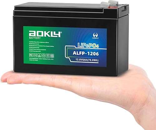 Miniatura 10 de Aokly Batería LiFePO4 de 12V 12Ah, Protección contra Bajas Temperaturas, Más de 4000 Ciclos, BMS de 12A Integrado, para UPS, Juguetes Montables,