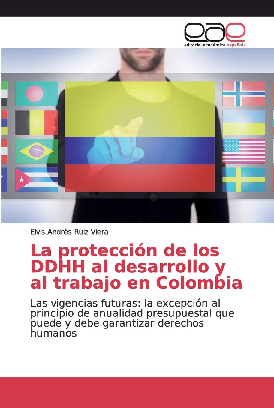 La protección de los DDHH al desarrollo y al trabajo en Colombia: Las vigencias futuras: la excepción al principio de anualidad presupuestal que puede ... garantizar derechos humanos (Spanish Edition)