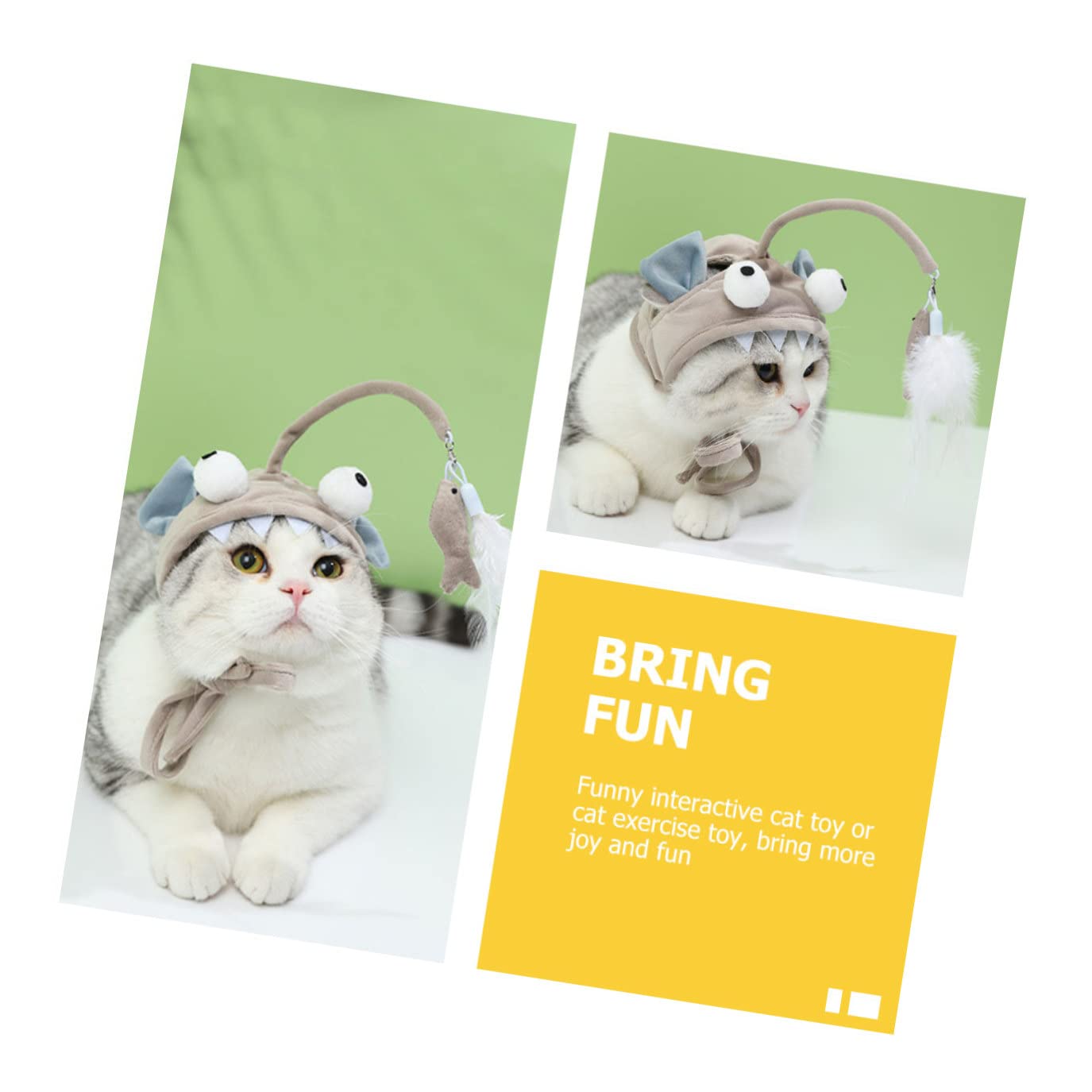 POPETPOP Lot De 5 Bâtons De Portage pour Chat Jouets Interactifs Dintérieur pour Chat Jouet De Divertissement pour Fournitures pour