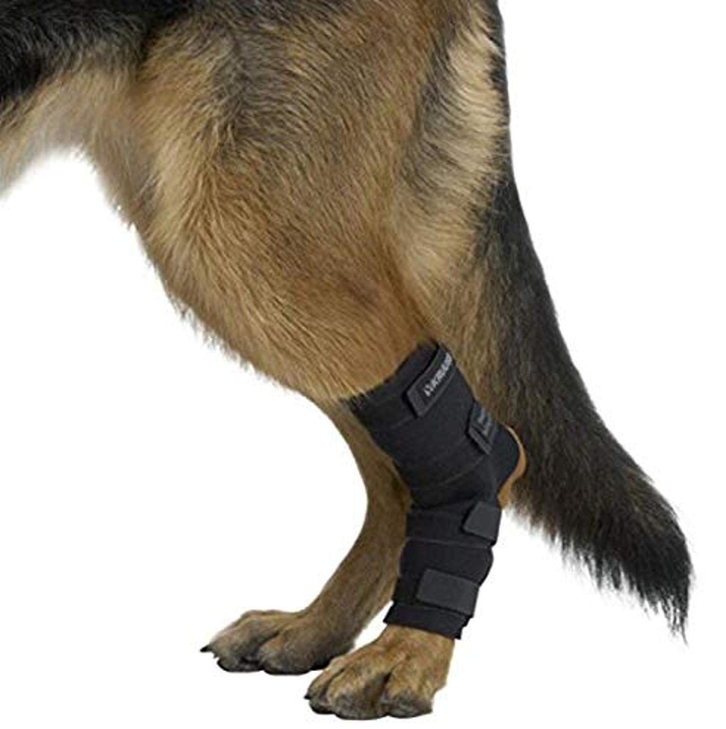 Kruuse Rehab Hock Protector, X-Large