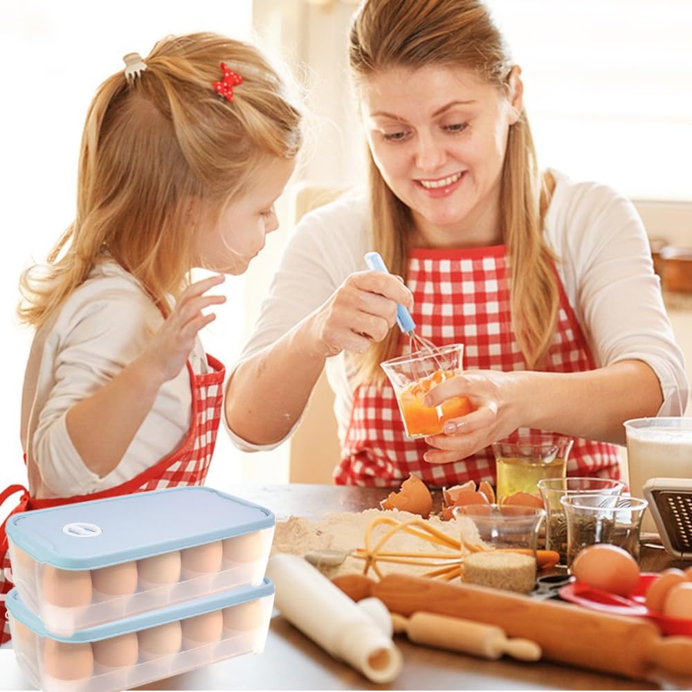 Supports De Stockage D'œufs – Organisez Efficacement Votre Réfrigérateur