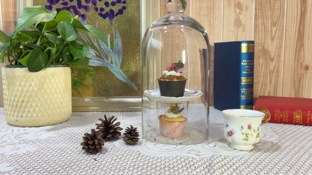 Amazon.com: Handmade Glass Cloche, Thick & Sturdy, Dia 6