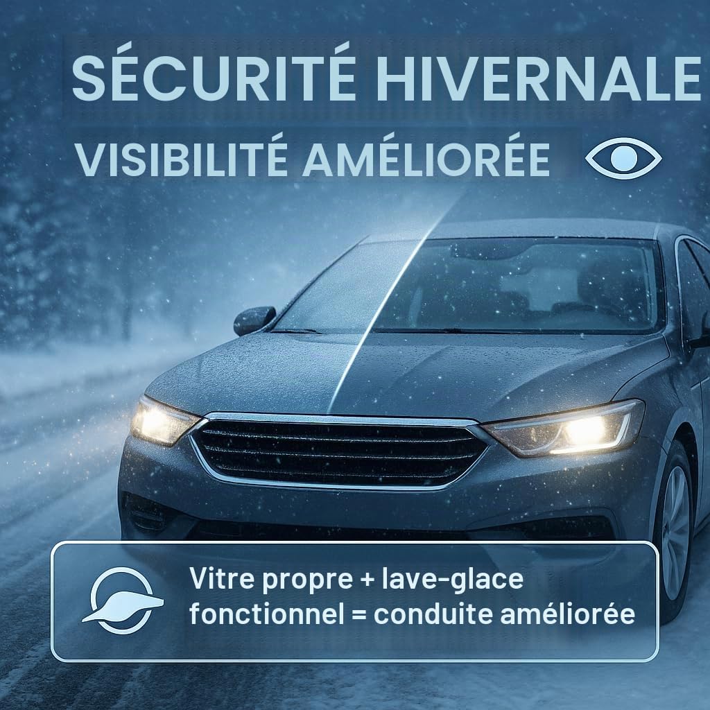 GiDeli Liquide antigel concentré pour pare-brise - 10 l - Protection contre le gel - 60 °C - Nettoyant pour pare-brise d'hiver