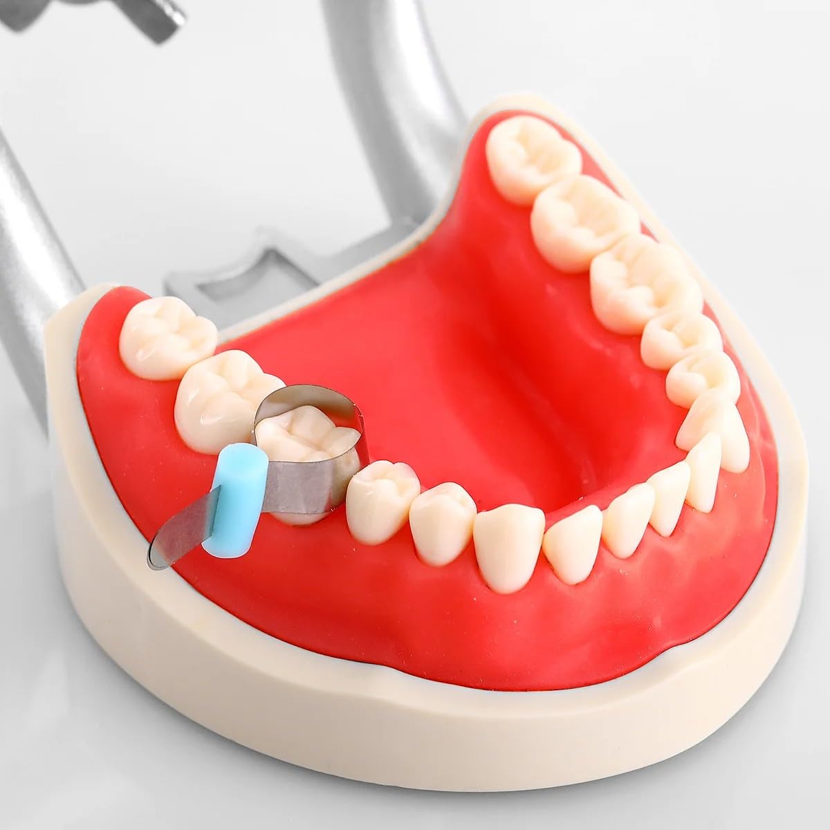 100 Piezas de Hoja de moldeo Dental, Perfil de sección Transversal de ortodoncia, Matriz metálica, Material Dental de poliéster(100pcs Green)