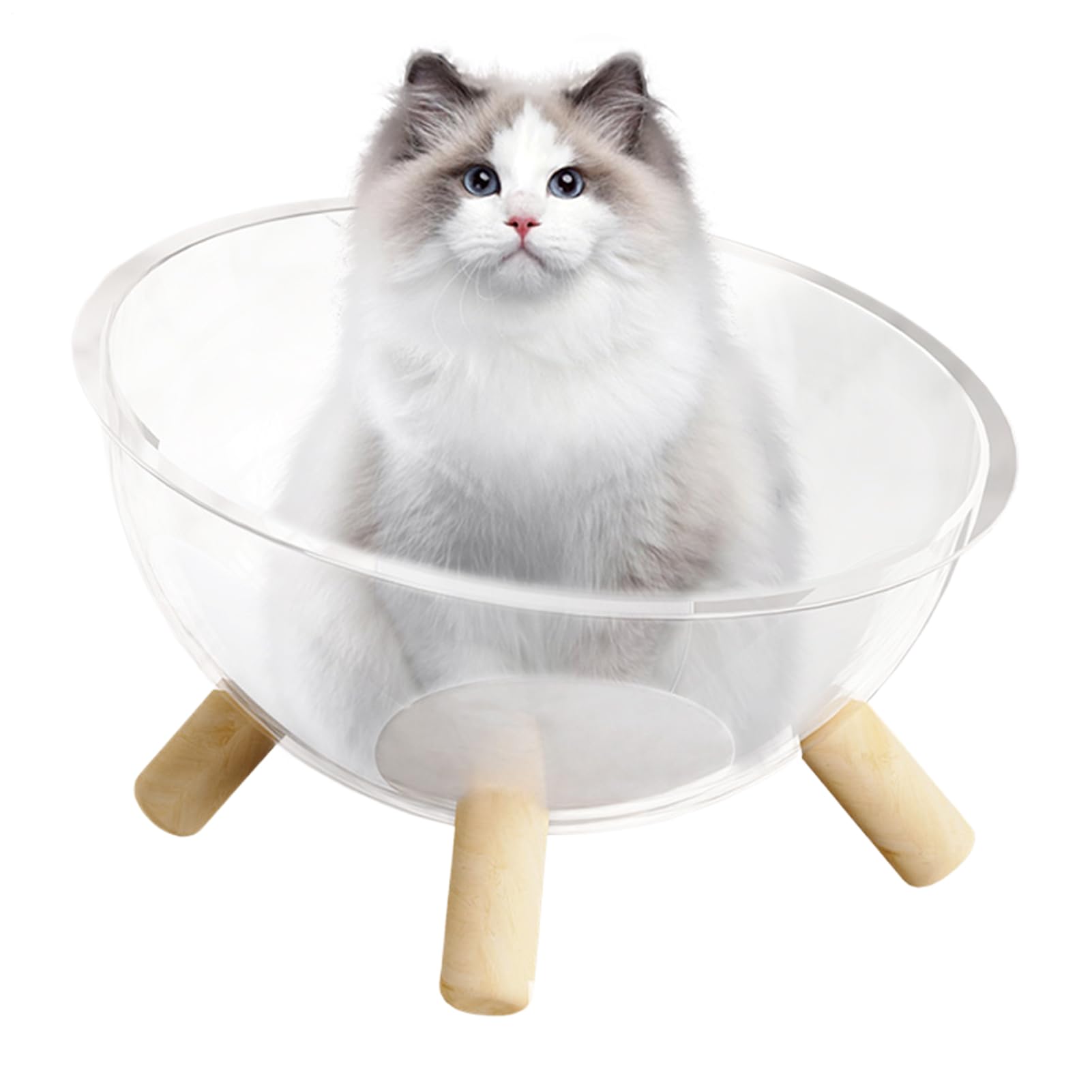 Korb für Kätzchen, Korb in Form einer Schüssel mit Basis aus Holz, Kuppel, transparent, Zubehör für Kleintiere, Raum, Aktivität, Erholung, Spiel
