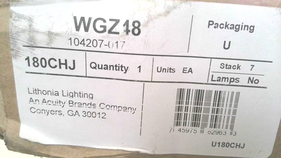 Lithonia Lighting 4 Foot Wire Guard for Z Series