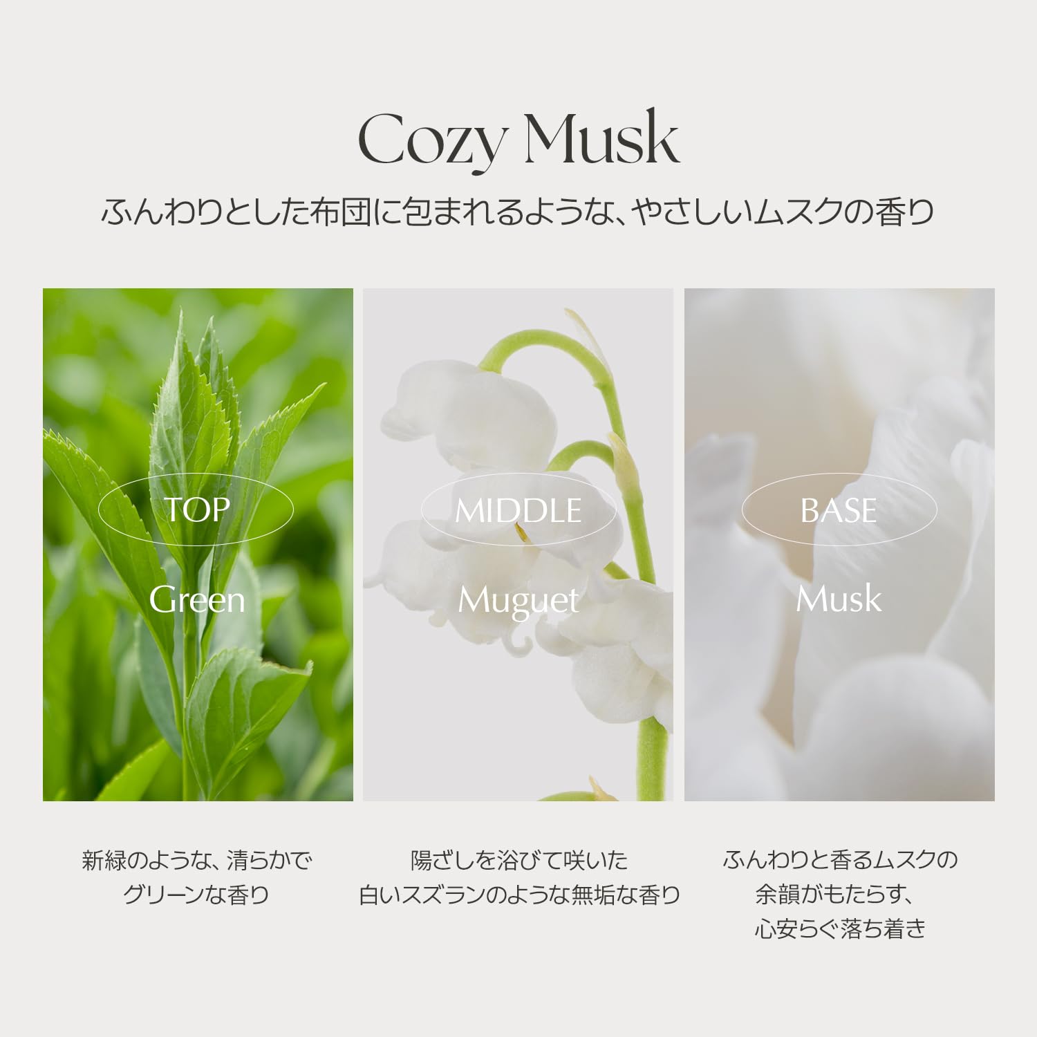 Amazon.co.jp: LUAFEE(ルアぺ公式) オードパルファム ミニチュア 5ml 5