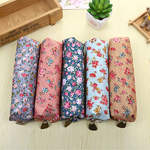 BIGBOBA 5PCS mini canvas portamonete portafoglio