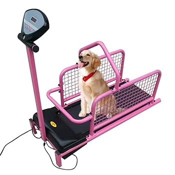 ペットランニングマシーン 617VuicR0cL._UF350,350_QL50_.jpg