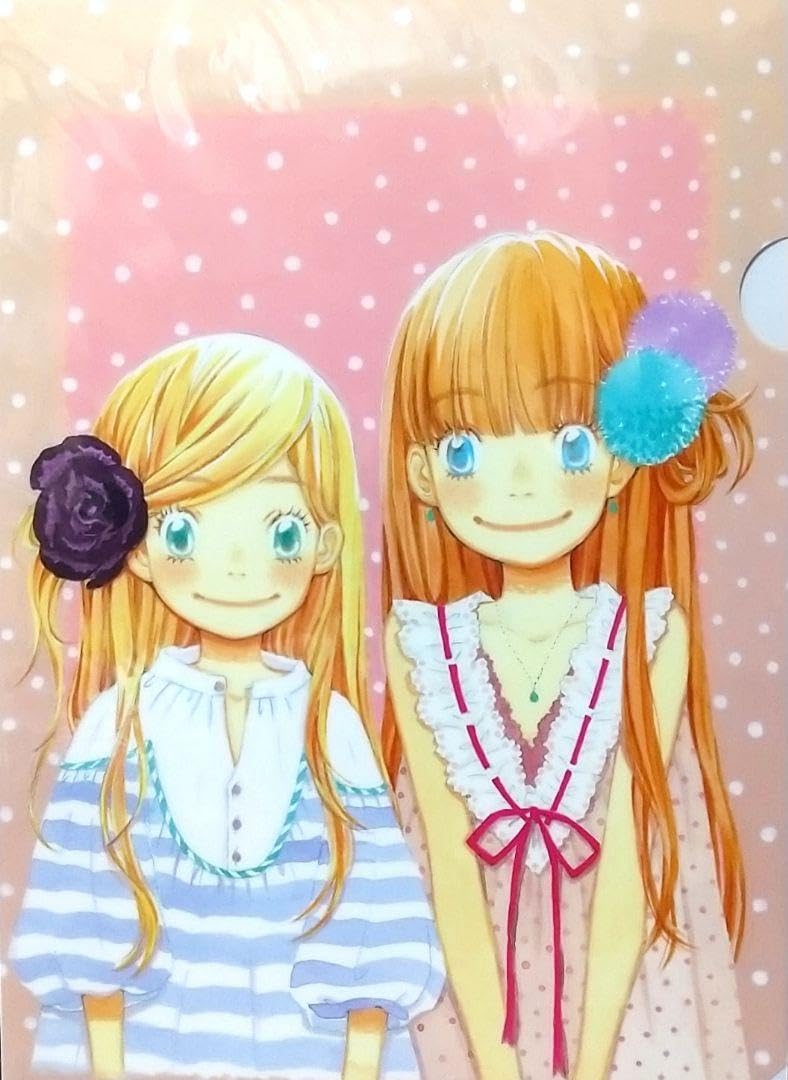 ハチミツとクローバー クリアファイル Amazon.co.jp: ハチミツとクローバー 花本はぐみ山田あゆみ A4クリア