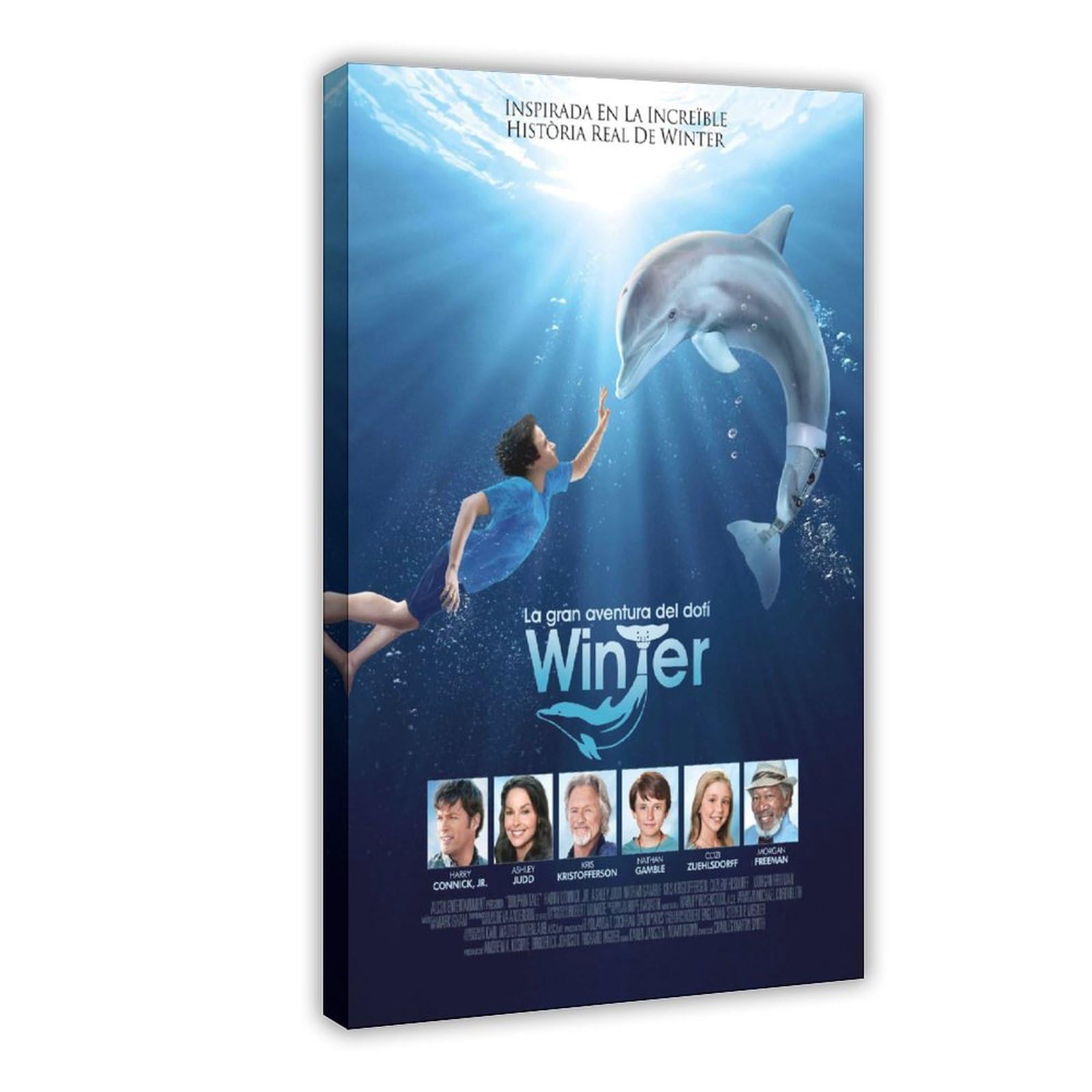 NFJUVX Dolphin Tale Movie Poster (5) Canvas Poster Bedroom Decor Sports Landscape Office Room Decor Gift Frame-style 24x36inch(60x90cm)