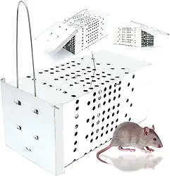 Ratoeira De Gaiola Armadilha Contra Ratos - Alta Pressão Top