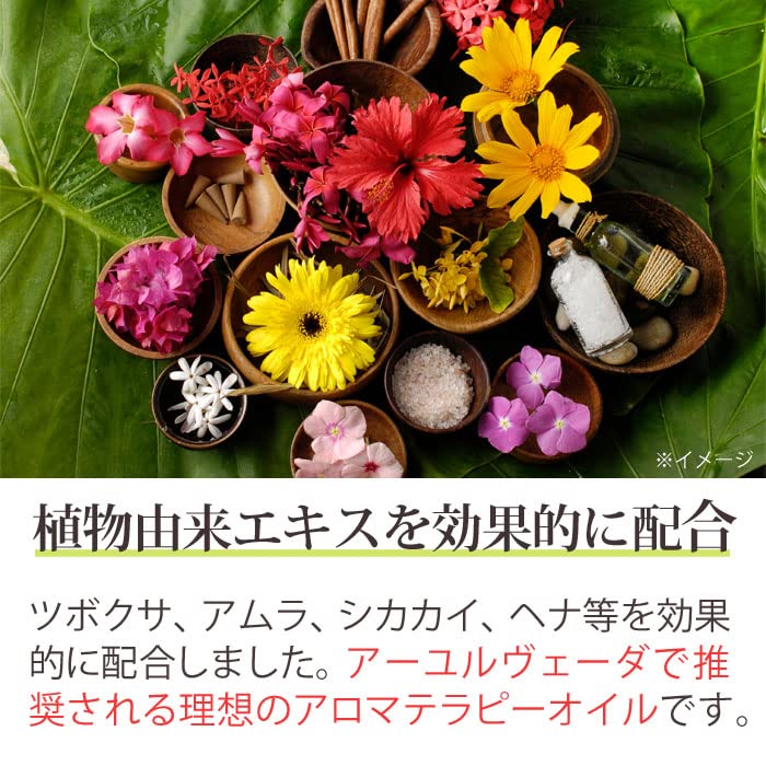 Amazon | シャンプー シャータイム シャナーズ アーユルヴェーダ 