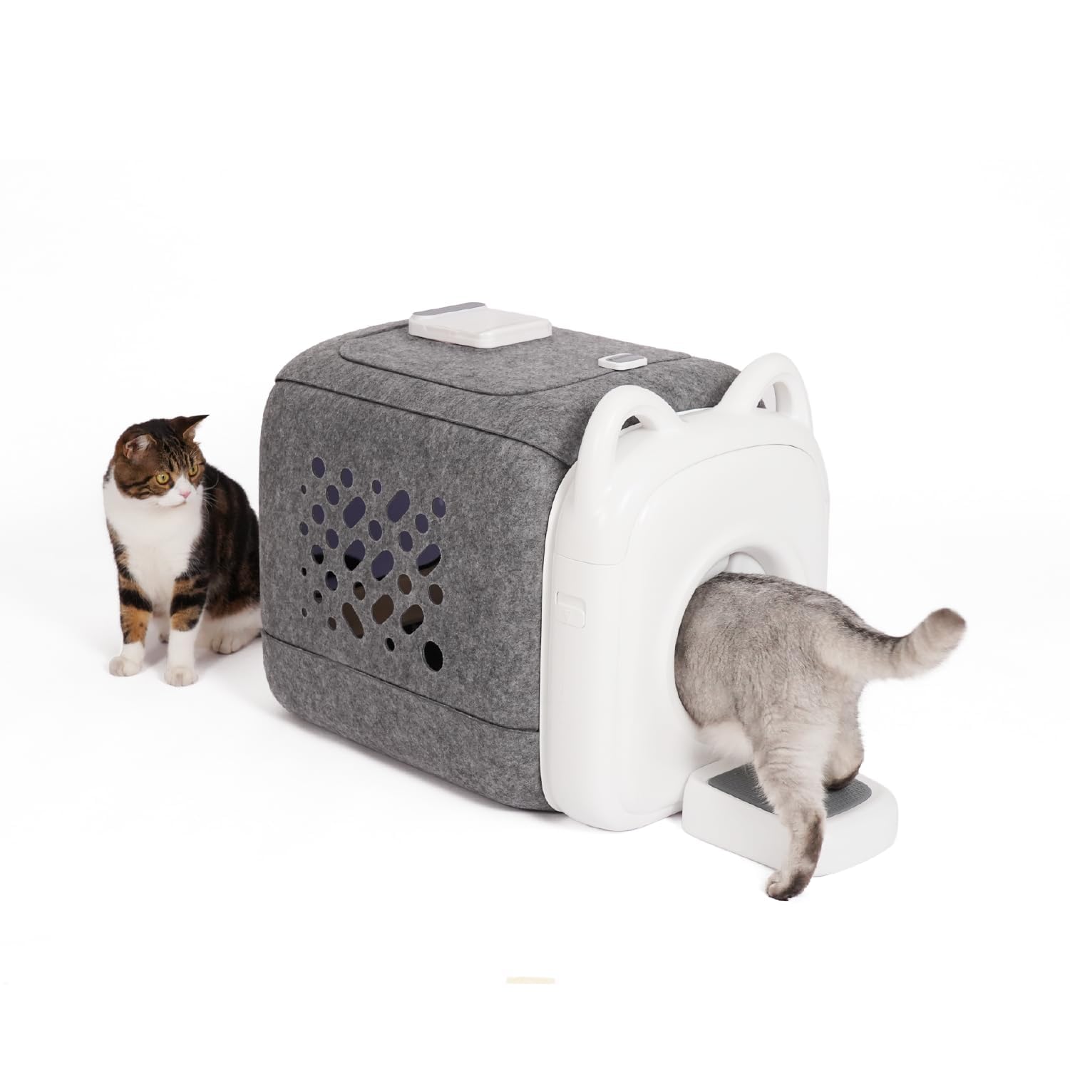 Amazon.co.jp: PawSwing AutoComb 自動猫セルフグルーマー 猫用360