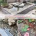 3 lb River Rocks for Succulent Plants,Decorative Rocks Bonsai Garden Pebbles,Aquarium Rocks Garden Landscaping Stones for Fish Tank,Plants, Vase Fillers (Multicolor, 3 lb)