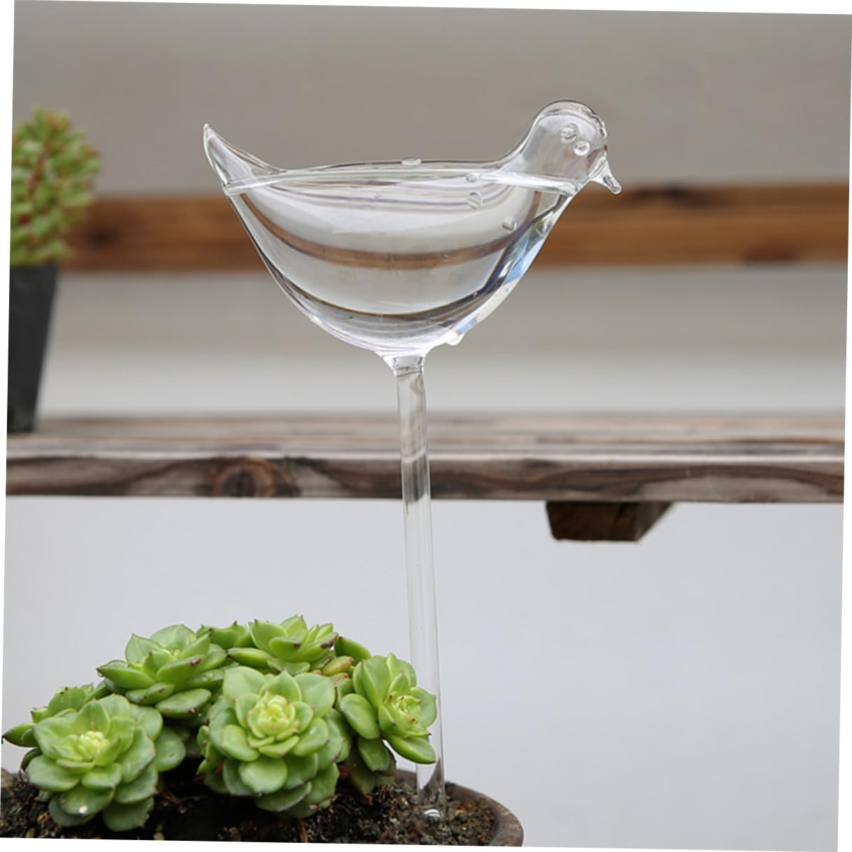 Gatuida Globes d'Arrosage Automatiques en Verre Borosilicate 4 Pièces pour Plantes Intérieures et Extérieures