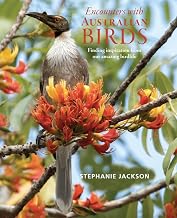Encounters With Australian Birds: Finding inspirations from Australia's amazing birdlife