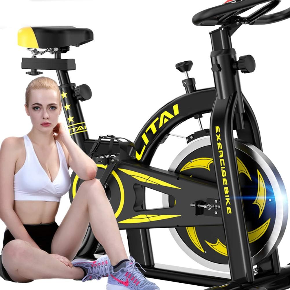 schwinn spinning bike per la casa