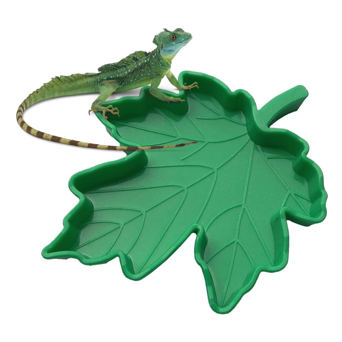 ZKGYUS 10 Piezas Cuenco de Agua para Comida de Reptil en Forma de Hoja, Accesorio de Tortuga terrestre, Bebedero de Tortuga Plana, para Mascotas pequeñas Reptil, Tortuga, Lagarto, araña