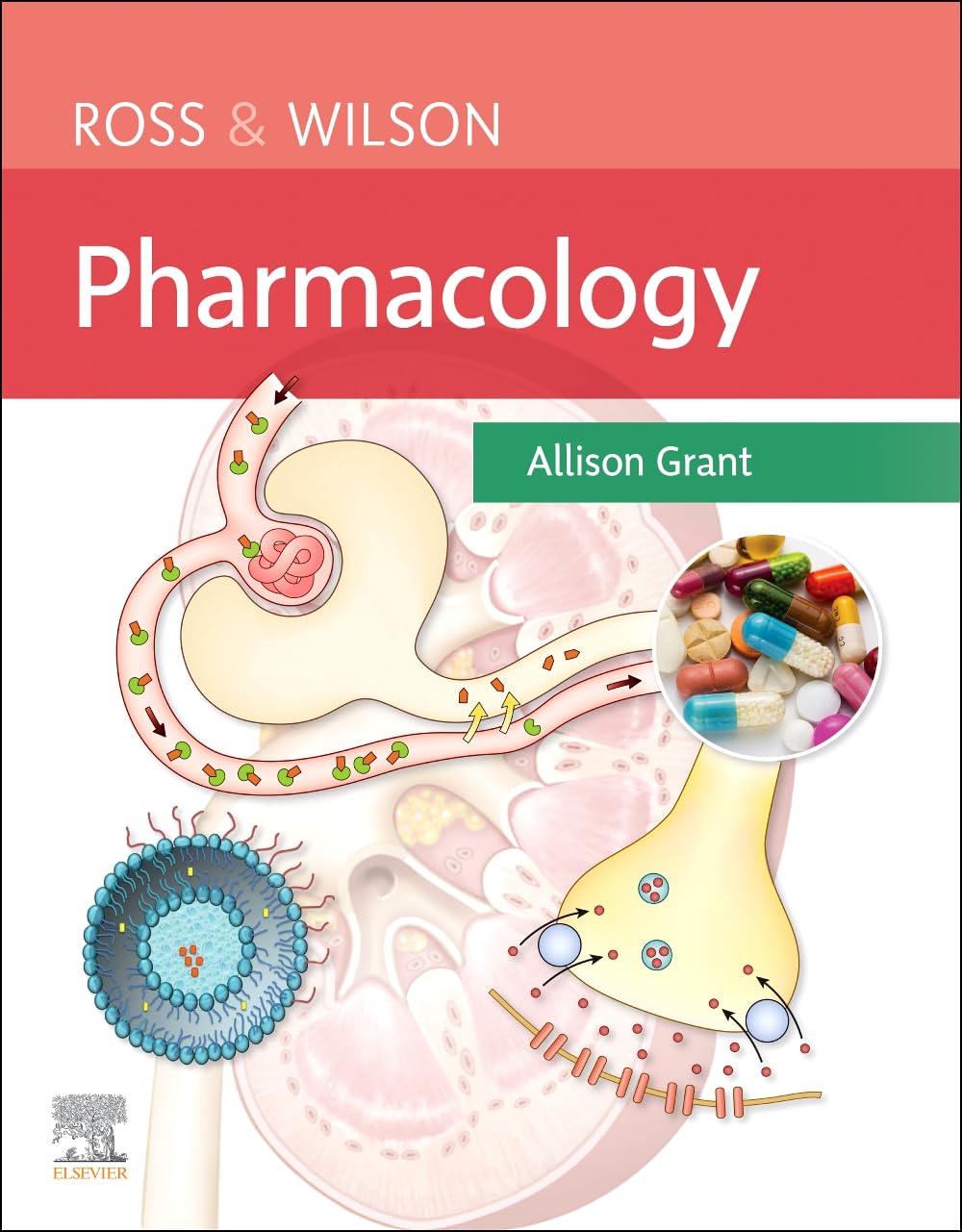 Ross & Wilson Pharmacology by Allison, BSc PhD RGN  Grant (Paperback Book)