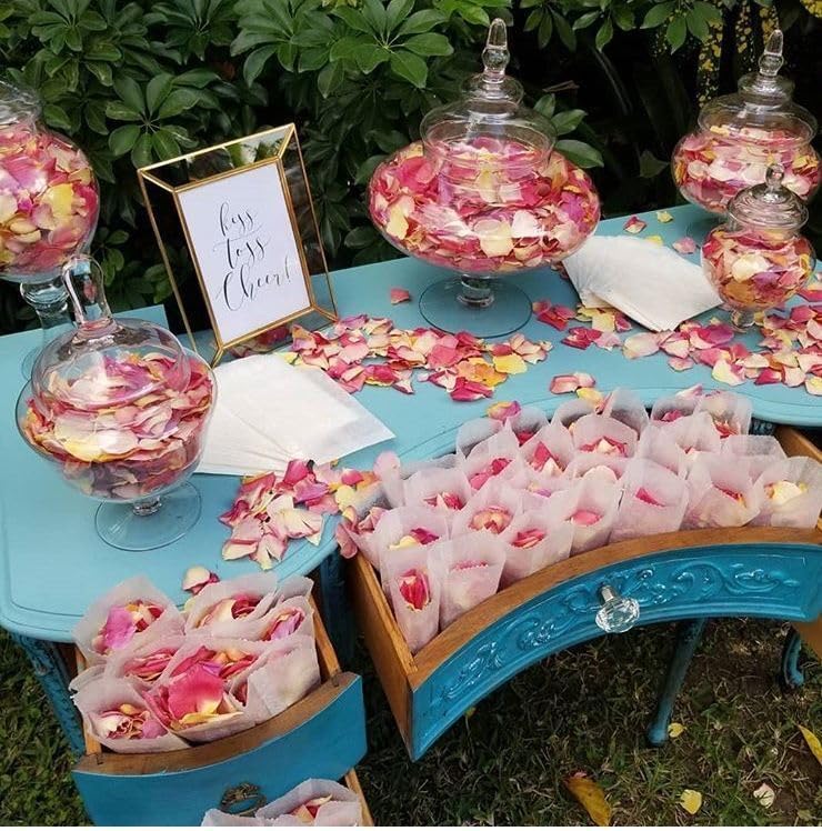 Pétalos de rosa liofilizados premium, mezcla romántica 15 tazas miniatura 6